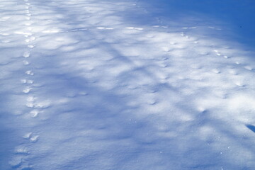 footprint in snow