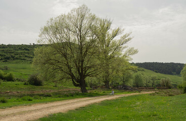 Valle de Motorrita en Gúdar