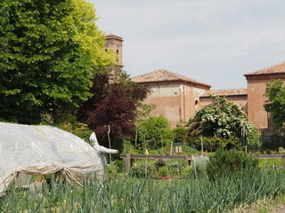 Ferrara, Italy. Beyond the vegetable garden of the Nuova Terraviva Association you can see the Certosa monumental cemetery.