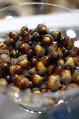 bellotas con su capuchón en fuente de cristal