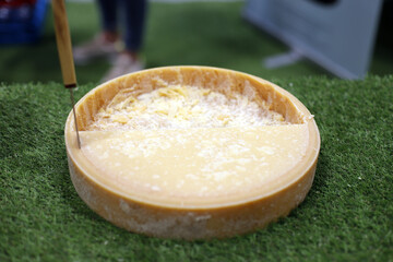 queso parmesano en molde