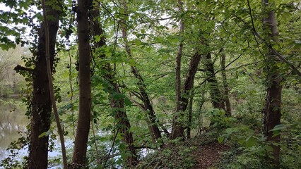 altrheinarme karlsruhe rhein natur