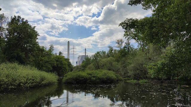 rhein maxau karlsruhe landschaft
