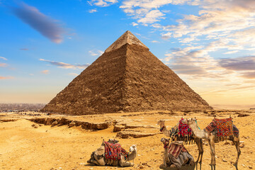 Fototapeta na wymiar Ruins of the Pyramid of Chephren, camels in the sunny desert, Giza, Egypt