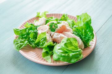 鶏のささみサラダ