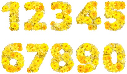 font with yellow flowers
