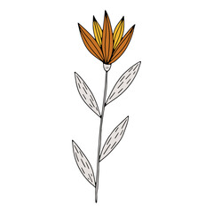 Vector doodle hand drawn flowers and herbal design elements. Line art leaves and floral objects.