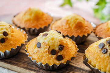 洋菓子　マドレーヌ