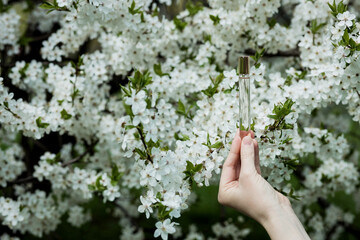 Fototapeta na wymiar floral spring perfume fragrance.