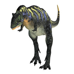 Fototapeta premium Aucasaurus on the Hunt - Aucasaurus was a carnivorous theropod dinosaur that lived in Argentina during the Cretaceous Period.