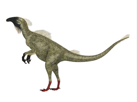 Beipiaosaurus Cretaceous Dinosaur - Beipiaosaurus was a feathered theropod dinosaur that lived in China during the Cretaceous Period.