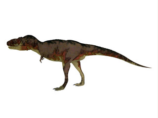 Daspletosaurus Theropod Dinosaur - Daspletosaurus was a carnivorous theropod dinosaur that lived in North America during the Cretaceous Period.