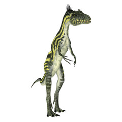 Deltadromeus Theropod Dinosaur - Deltadromeus was a small carnivorous theropod dinosaur that lived in Africa during the Cretaceous Period.