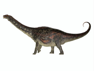 Fototapeta premium Diamantinasaurus Herbivore Dinosaur - Diamantinasaurus was a herbivorous sauropod dinosaur that lived in herds in Australia during the Cretaceous Period.