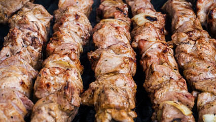 Tasty oriental shashlik skewer cooking over an open fire