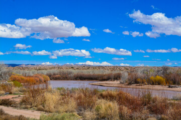 landscape with lake