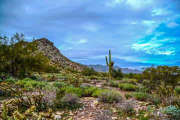 Arizona landscape with blue sky at White Tank Regional Park in Maricopa County