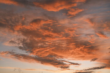 Naklejka premium The scenery