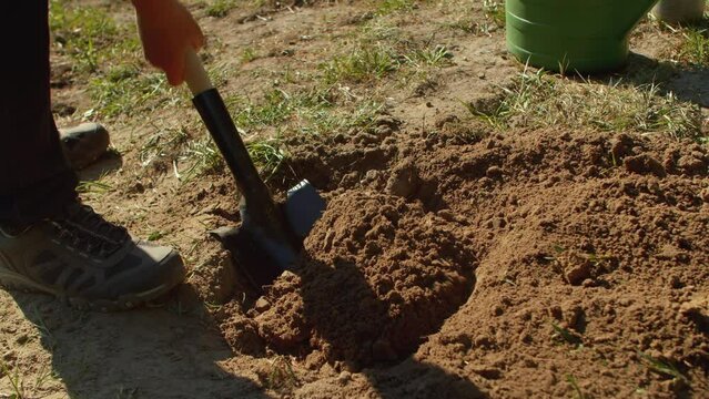 Close-up of a man digging a hole with a shovel for planting a tree in the park.