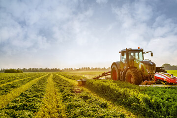 tractor makes harvesting hay for animals on a farm - obrazy, fototapety, plakaty