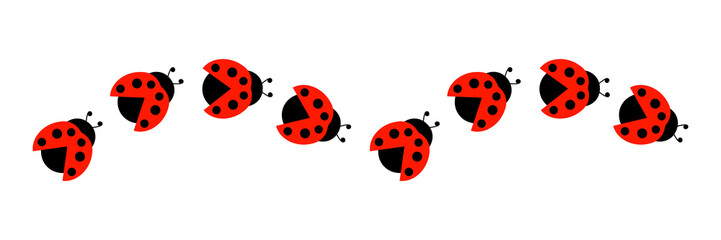 Ladybugs line icon group. Cute ladybirds set. Vector illustration isolated on white.	