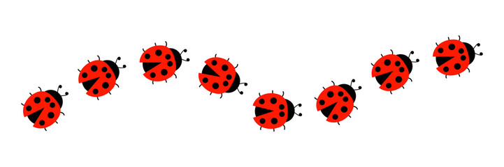 Ladybugs line icon group. Cute ladybirds set. Vector illustration isolated on white.	