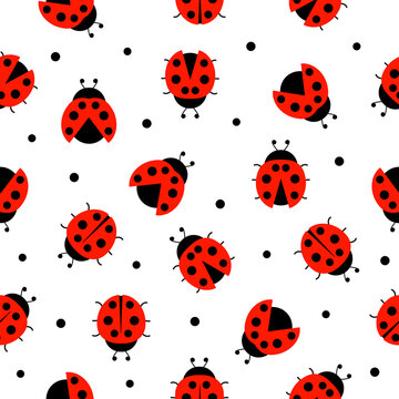 Ladybug seamless pattern. Ladybirds insects flying. Vector isolated on white background.
