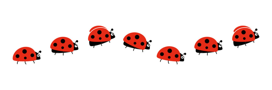 Ladybugs line icon group. Cute ladybirds set. Vector illustration isolated on white.	