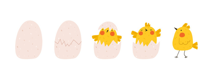 Fototapeta premium Cute yellow chicken hatched out of the egg. Newborn little funny chick emergence from egg. Elements for Easter designs. Cartoon vector illustration.