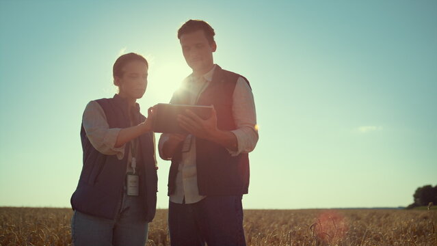 Two Farmers Work Tablet Computer In Golden Sunlight. Modern Agritech Industry.