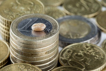 A grain of wheat lies on top of a stack of euro coins. Grain prices continue to rise steeply. Grain...