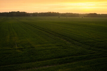 Obraz premium Farming field sunrise. Early morning countryside landscape. Village agriculture background.