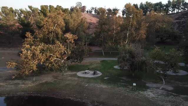 aerial footage of an bald African American man sitting on a bench on the banks of a rippling lake surrounded by lush green trees, grass and plants at Puddingstone Lake in San Dimas California USA