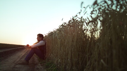 Agronomist observing wheat field husbandry at golden sunset alone portrait.
