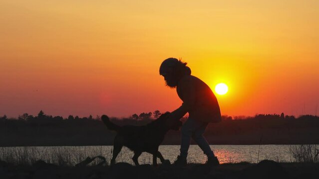 A girl plays with a guard dog of the Rottweiler breed against the backdrop of a lake and sunset