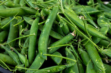 Ripe young green sweet garden peas legumes