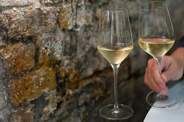 Tasting of brut champagne sparkling wine produced by traditional method in underground caves