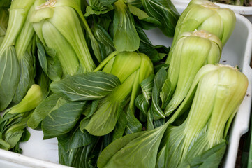 Obraz premium Fresh green chinese cabbage pak choi for sale on market