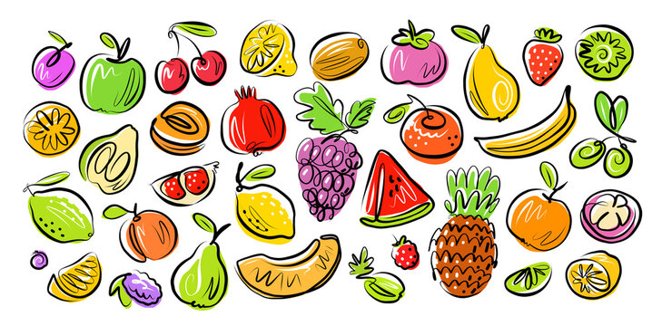 Fruits and Berries set drawn in doodle style. Organic farm food vector illustration