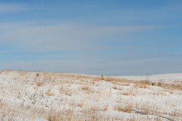 Hilly area with dry grass and snow. Winter nature landscape background