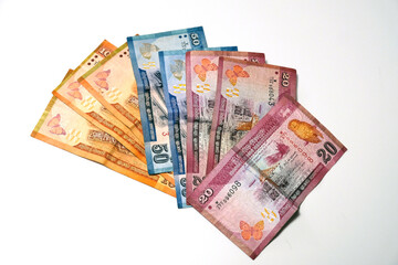 Obraz na płótnie Canvas Sri Lankan rupees. Sri Lankan banknotes. High quality photo