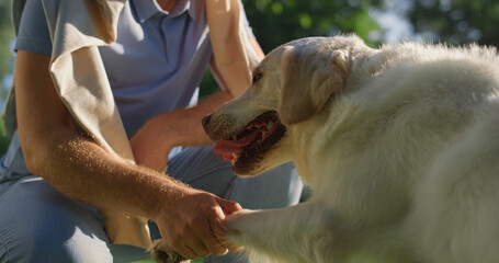 Closeup adorable dog put paw in owner hand. Man shaking grip sitting in park