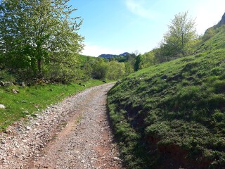 Fototapeta premium Mountain Bjelasnica landscape with snow, meadows, unpaved road to Umoljani and mountain Treskavica in the distance, Bosnia and Herzegovina