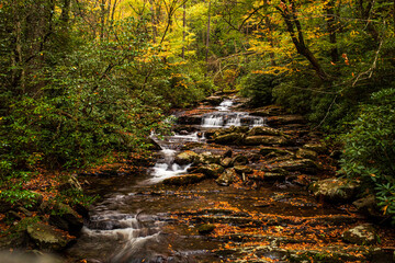 Stream of water in the deep colored fall foliage in the Smoky Mountain National Park (the Smokies), Tennessee, USA.
