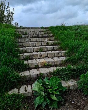 stairs to nowhere in nature among grass and small flowers of lilac juicy green day and night made of bricks on a journey, a traveler on the road steps