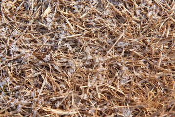 Yungneung and Geolleung Royal Tombs is the tomb of the king of the Joseon Dynasty.
