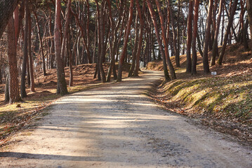 Yungneung and Geolleung Royal Tombs is the tomb of the king of the Joseon Dynasty.
