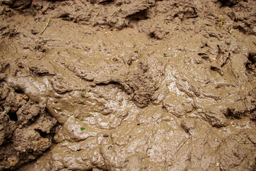 Dirt close-up. Off-road liquid mud. Soil after rain. Texture dirt background.