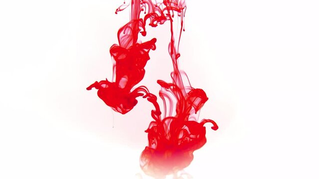 Colorful painted ink on water background. Abstract design of colour painted. Red blood in water. Color splash paint mixing. Multicolored liquid dye. Colour dissolve.