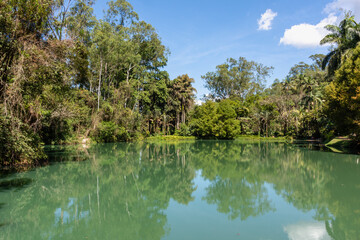 Fototapeta premium Vista das árvores refletidas no lago